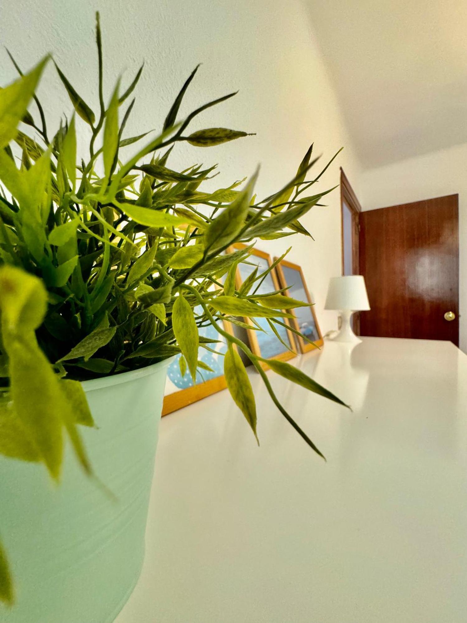 Acogedor Apartamento En Малага Экстерьер фото
