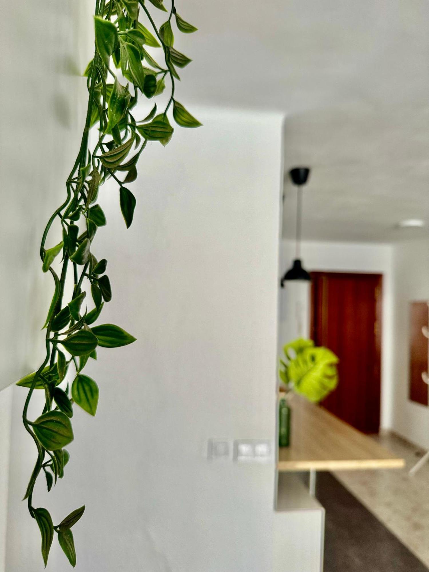 Acogedor Apartamento En Малага Экстерьер фото